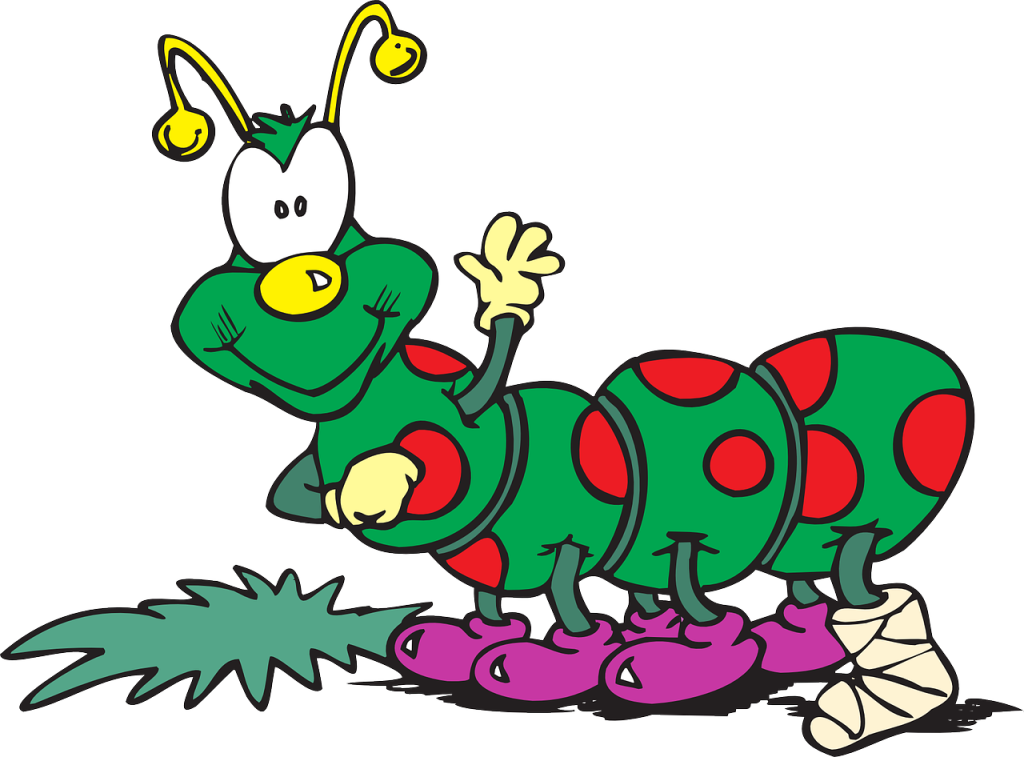 predatory hawaiian caterpillar