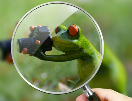 Elusive image