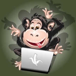 Happy geek monkey playing with Convertri