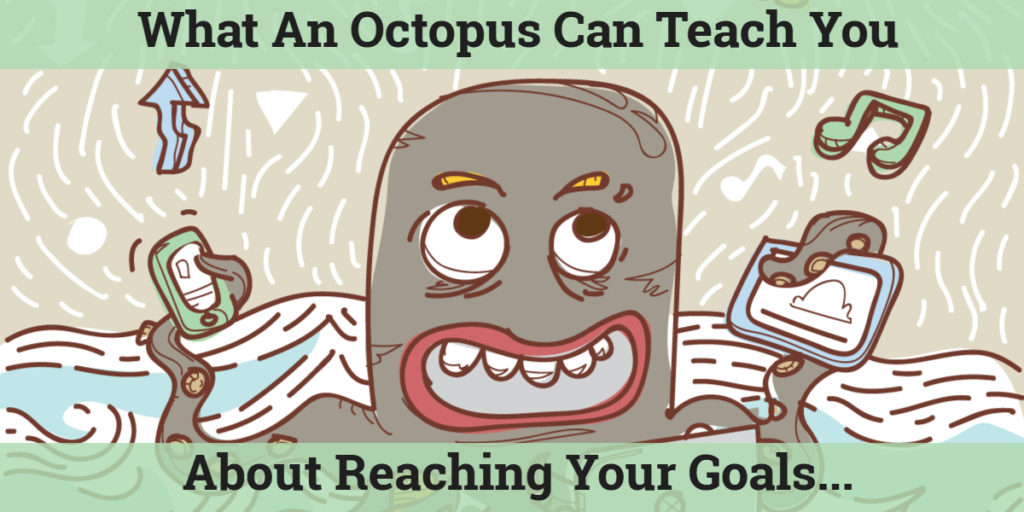 What An Octopus Can Teach You About Reaching Your Goals