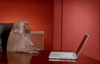 frustrated monkey